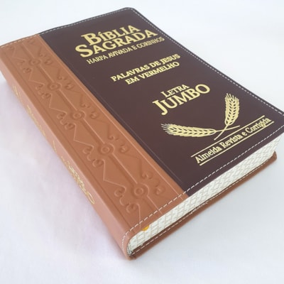 image_a2ab61c8-b46e-4a73-abe3-4a7e645d6e6b