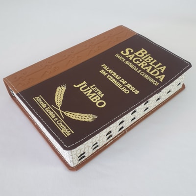 image_4332184c-0ded-40d2-91da-4bac31181abd