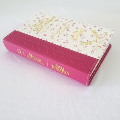 image_b84b4136-03c0-49a6-babd-dd38cd887c41