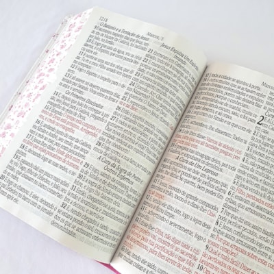 image_deb7cd86-5785-449a-996b-8ec28ec50a98