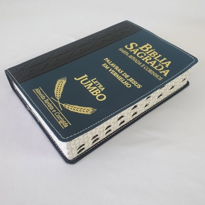 image_de5c8011-adaf-40e2-b166-55c9088bb8d9