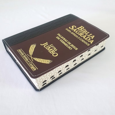 image_cb4c728f-a3dc-4275-9258-d906d03ddad0