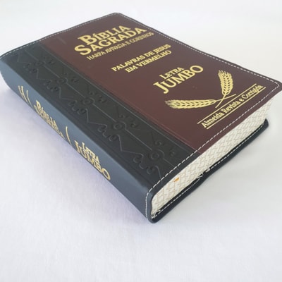 image_dc9dd2d6-3bd2-4add-ab03-0a009ae1d5eb