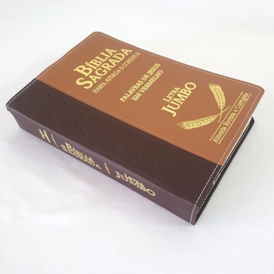 image_705d6db0-139e-4bdd-ba04-3a2686e6574f