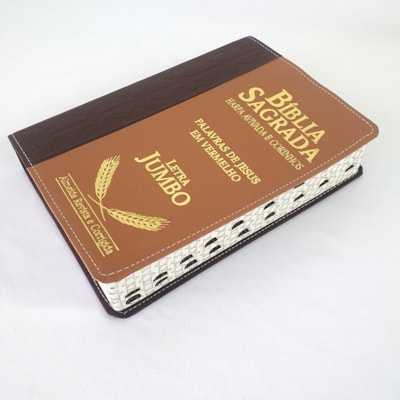 image_c63c7761-431a-4846-9c35-7ba97867f115