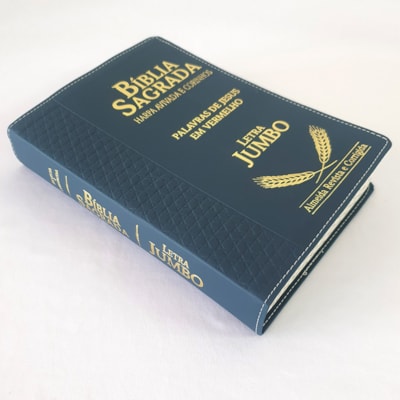 image_910f7881-f748-4255-a41b-f9170efdd261