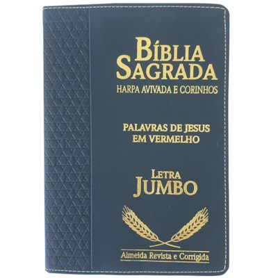 Imagem Principal - 632df501-9383-4de1-9fbe-6c6b56095711