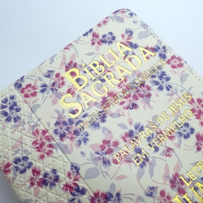 image_92fc03fa-6ce8-4ee4-8395-b404b0c3d2b5