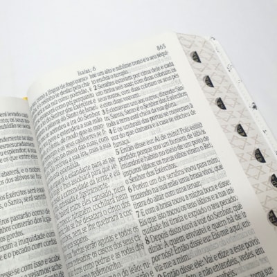 image_8f4f4315-49f3-447c-a492-7d353329a4e9