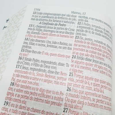 image_1b0a17fc-f706-4d53-bb94-169612df5806