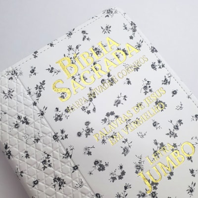 image_e311863d-7b38-4f05-9f53-34b193c16ac4