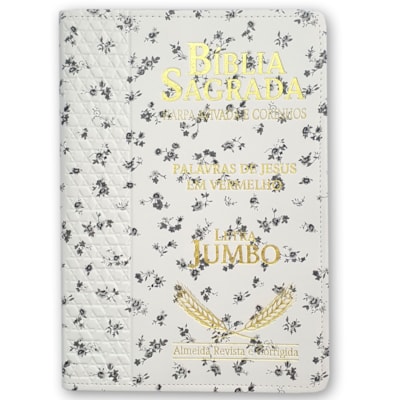 Imagem Principal - 2fc4144e-9b5a-49e2-b9a1-24744a476e04