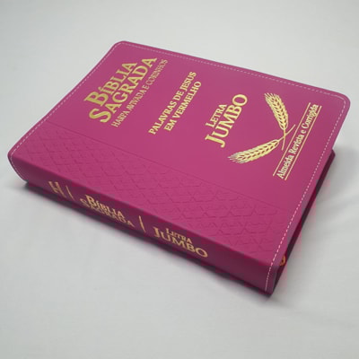 image_33f3a8f3-e82e-4ca3-9fd1-8bc9c8f5f94d