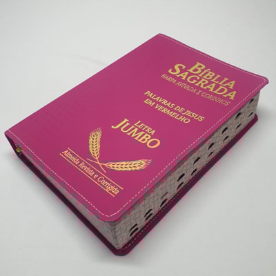 image_c6d0695a-bdca-4a55-bac2-d36bbaea10cd