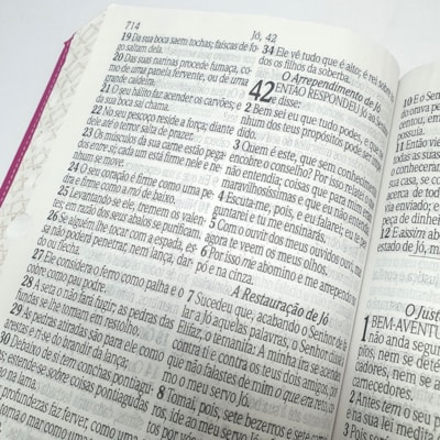 image_de6058b5-e788-49f3-b545-2395e7024b95