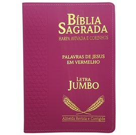 Bíblia Sagrada Harpa Avivada e Corinhos | ARC | Letra Jumbo | Índice | Luxo Pink