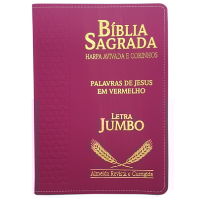 Imagem Principal - 0cfa9f6a-bea8-4680-9a45-8d642d99593d