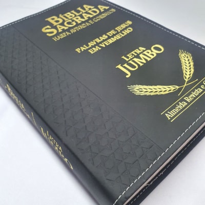 image_9153be36-4b98-4186-86c9-87537a6d60ae