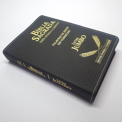 image_e8e24e58-f0f8-4f7e-8d65-e331d7f17b2c