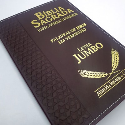 image_c252b184-10b6-4116-9108-d256e19f54ca