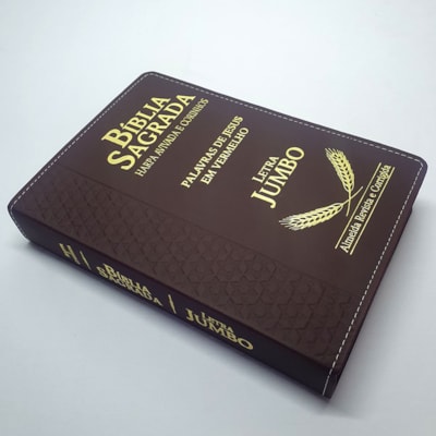 image_b8bbace0-fa6e-4a81-a5fd-99b033d42556