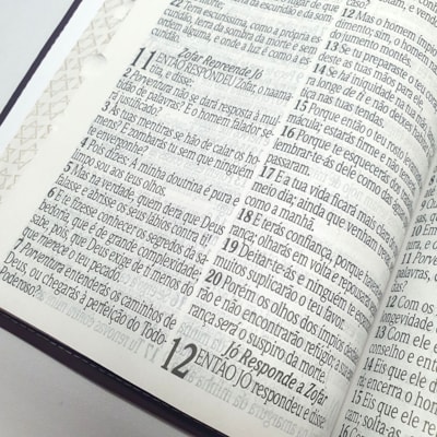 image_857d854a-8760-44c2-826f-f1a65ac4ec17