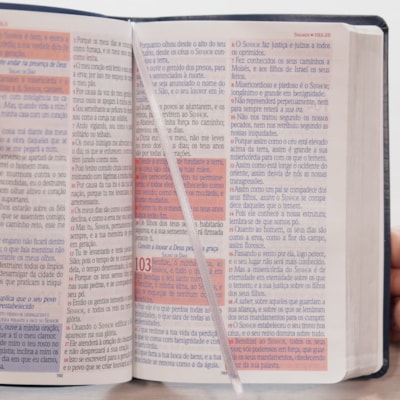 image_04b35e7f-56b4-40b7-8070-2aa0b7083232