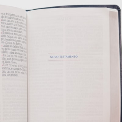 image_0a800a6a-8225-439c-b307-74f057a7856e