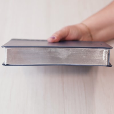 image_2eec78b8-b403-4b31-9445-d7c44ca47306