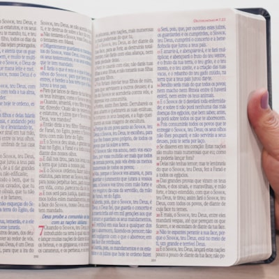 image_615b12c2-0337-4f59-ba47-2f5aa3adff61