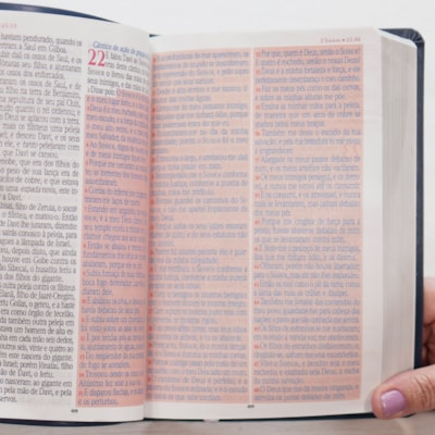 image_b0033942-274a-4553-922a-f3ae7c9d3051