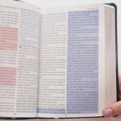 image_f9a16e3c-3eaa-477e-8f4c-b16a7ad438c2