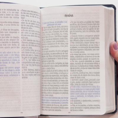 image_342e1c7d-2e6e-44d4-adec-63d7c413b743