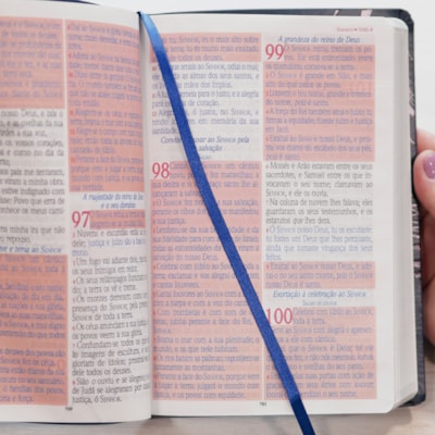 image_17f7c443-7bbe-48e0-a653-024c50b7ca5e