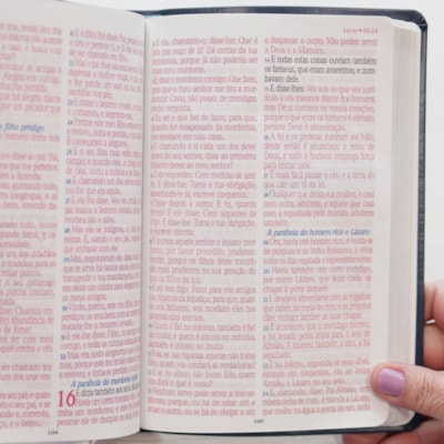 image_3a7af70e-0860-4a9f-aa63-4af7c59bbe5f