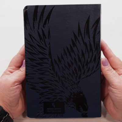 image_a4cf1bcd-6772-4093-a189-8b53d8873901