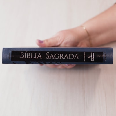 image_9a36a789-d5f2-4b2f-8a91-ce0349090665