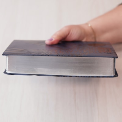 image_397b5a4a-396f-4f99-8498-53a0edac4ced