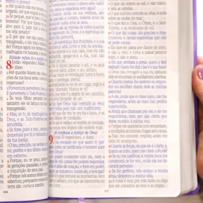 image_66913cd9-48fa-403d-ae26-f91b59e587c3