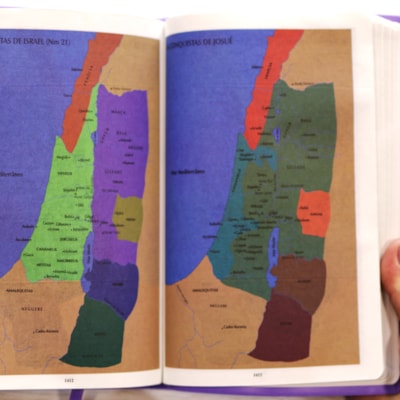 image_39104142-77f9-42d3-a706-2c44f2d1ba08