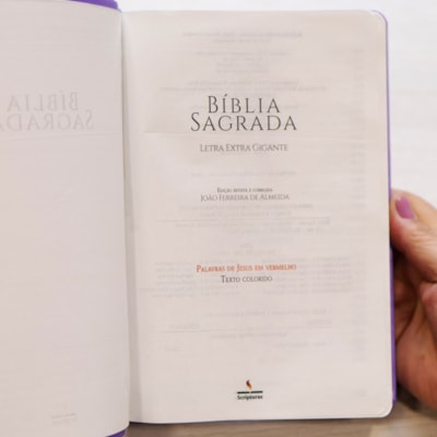 image_7f44ec5e-f159-47e4-8eec-eeb2ff92f5bc