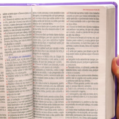 image_0a599683-028e-47a3-bc96-c356404a7f29