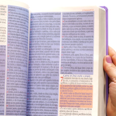 image_1c0444f5-9f45-4f63-be69-fcf0526174eb