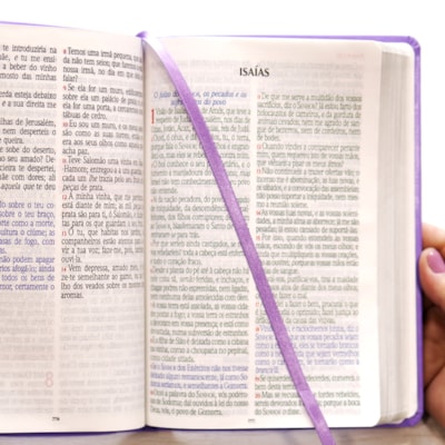 image_e81286ad-635b-4e38-949a-a088b0049e70