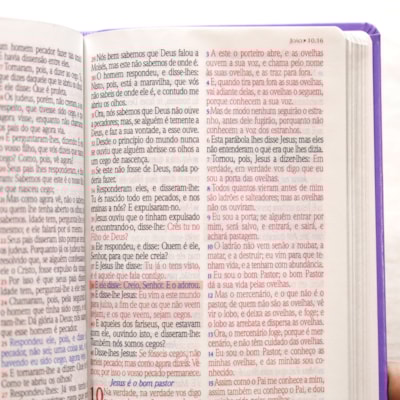 image_eab67128-035e-4ffe-a619-126f3e9fdb08