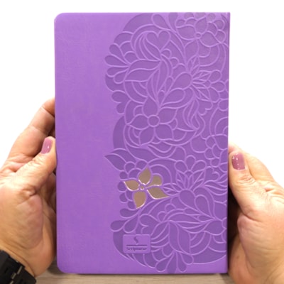 image_02cac8b6-a388-4eff-8e10-594d454ef8b8