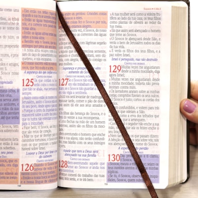 image_f019e91c-caba-40a3-a6b9-9850ec63cab4