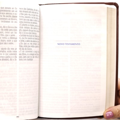 image_bc036c5d-2cbf-4395-b1eb-e3d49e298968