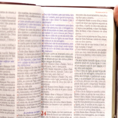 image_ef031bfd-754a-4906-894f-5918d0dfb0dd