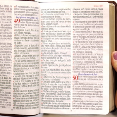 image_80d704a6-5111-409a-80b0-caeff346b8aa